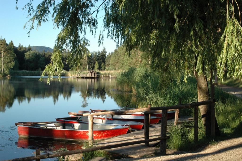 Hotel Waldsee 3*